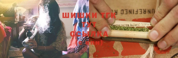 винт Лабытнанги
