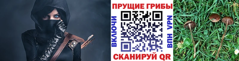 mega ссылки  Афипский  Галлюциногенные грибы Psilocybe 